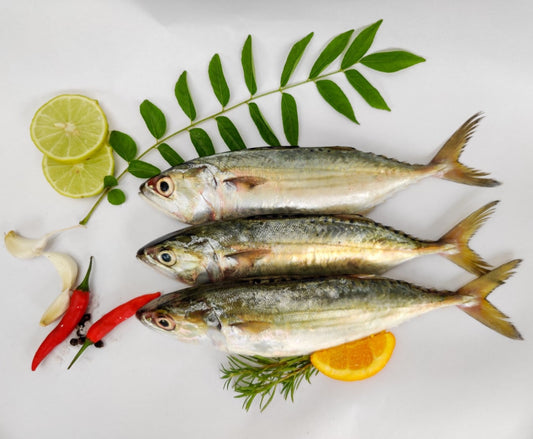 Fresh Indian Mackerel 100g