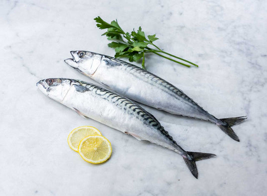 Fresh Mackerel 100g