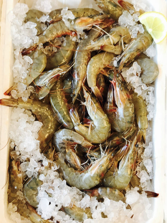 Fresh Prawns 100g