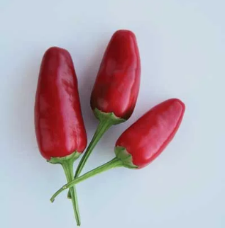 Small Red Chili 100g