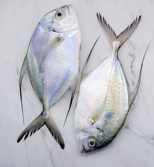 Trevally Whole Frozen 100g